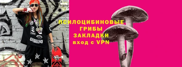 стафф Козельск