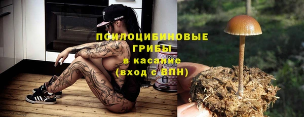 стафф Козельск
