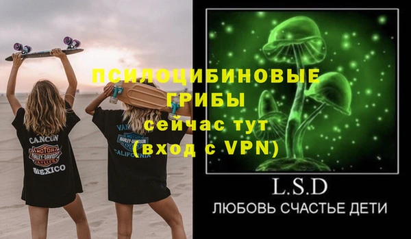 стафф Козельск